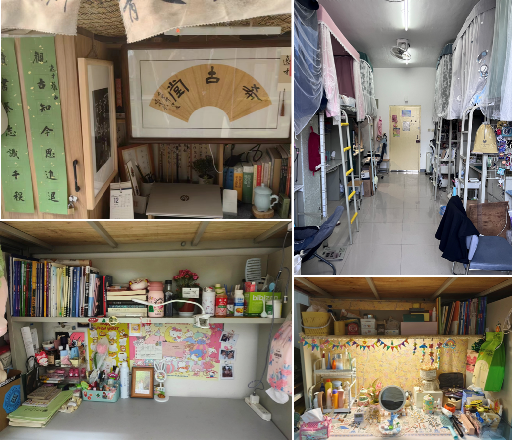 阳春四月，氤氲芬芳---无码流出
宿舍环保美化大赛